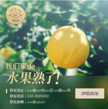 沿河县果园果林小程序开发